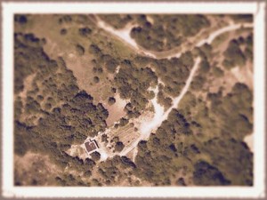 10428113_10204230133977162_8888967308562698555_n