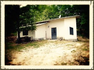 11011005_10204166079015828_8476287741623082752_n